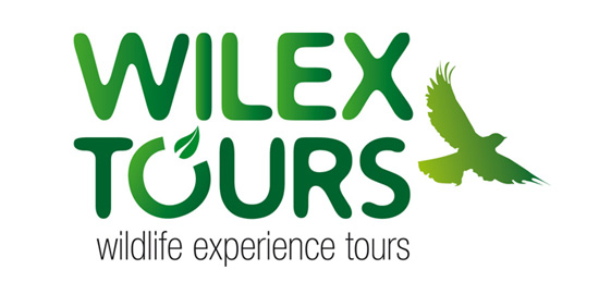 logo-wilex